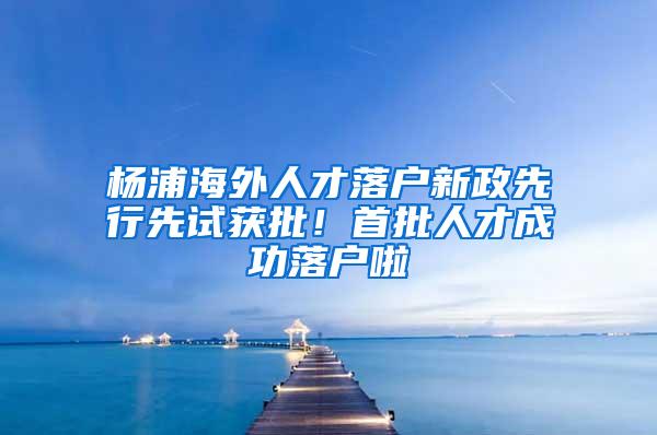 杨浦海外人才落户新政先行先试获批！首批人才成功落户啦