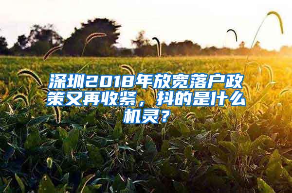 深圳2018年放宽落户政策又再收紧，抖的是什么机灵？