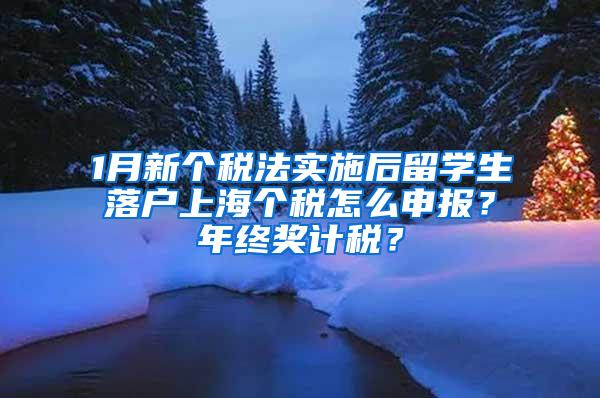 1月新个税法实施后留学生落户上海个税怎么申报？年终奖计税？