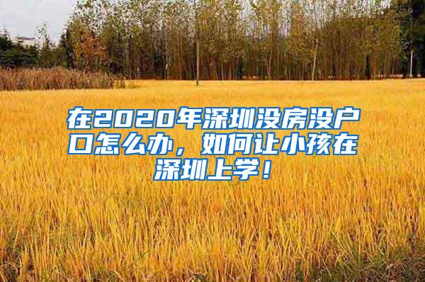 在2020年深圳没房没户口怎么办，如何让小孩在深圳上学！