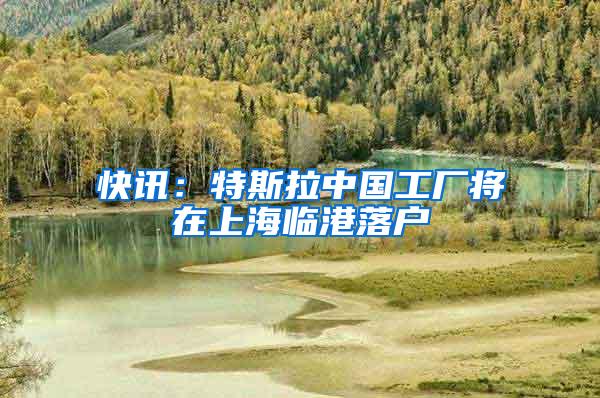 快讯：特斯拉中国工厂将在上海临港落户