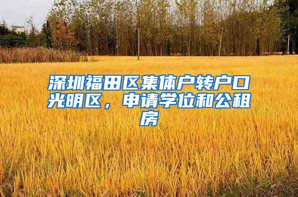 深圳福田区集体户转户口光明区，申请学位和公租房