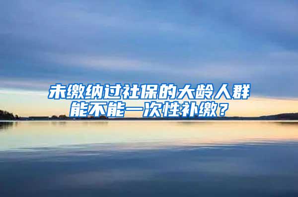 未缴纳过社保的大龄人群能不能一次性补缴？