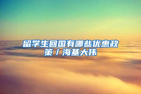 留学生回国有哪些优惠政策／海基大伟