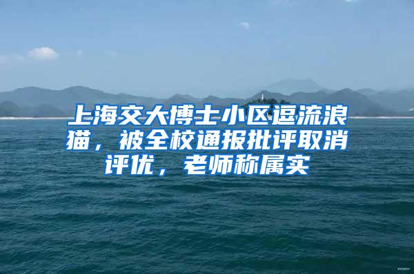 上海交大博士小区逗流浪猫，被全校通报批评取消评优，老师称属实