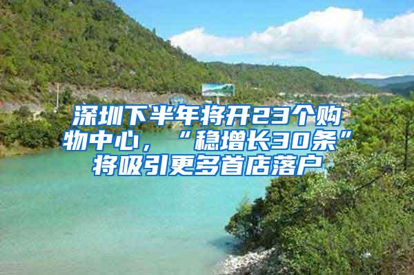 深圳下半年将开23个购物中心，“稳增长30条”将吸引更多首店落户