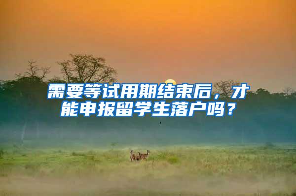 需要等试用期结束后，才能申报留学生落户吗？