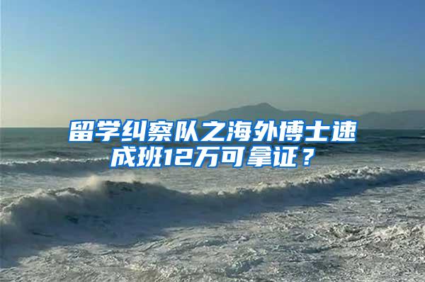 留学纠察队之海外博士速成班12万可拿证？