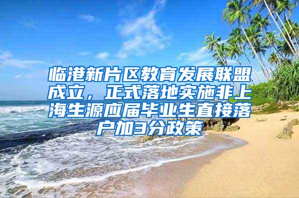 临港新片区教育发展联盟成立，正式落地实施非上海生源应届毕业生直接落户加3分政策
