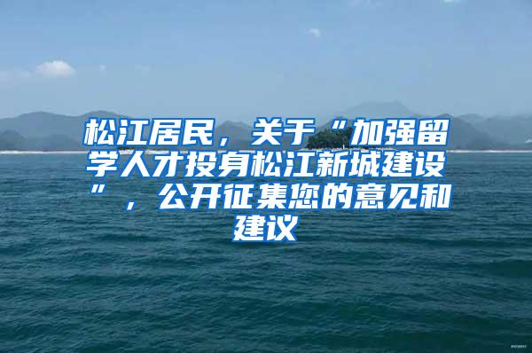 松江居民，关于“加强留学人才投身松江新城建设”，公开征集您的意见和建议→