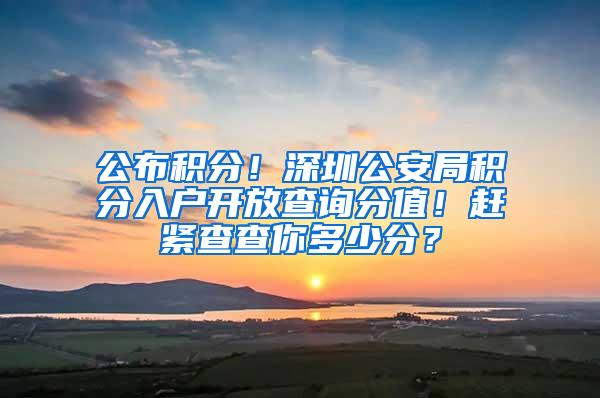 公布积分！深圳公安局积分入户开放查询分值！赶紧查查你多少分？