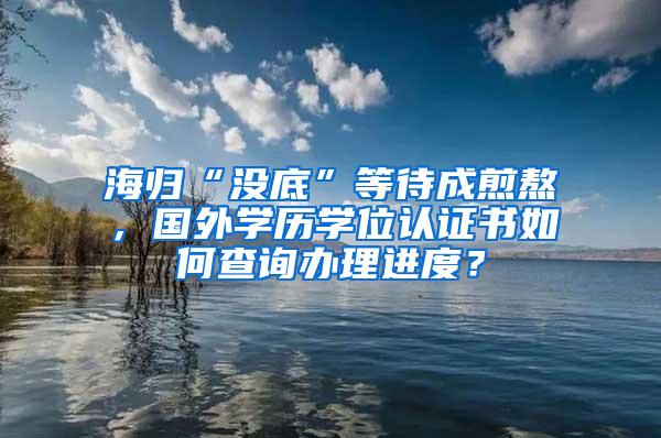 海归“没底”等待成煎熬，国外学历学位认证书如何查询办理进度？