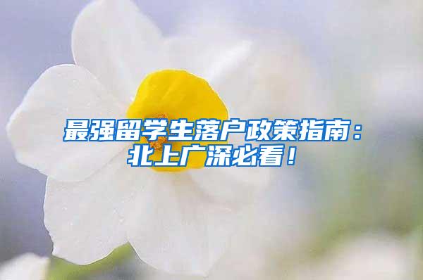 最强留学生落户政策指南：北上广深必看！