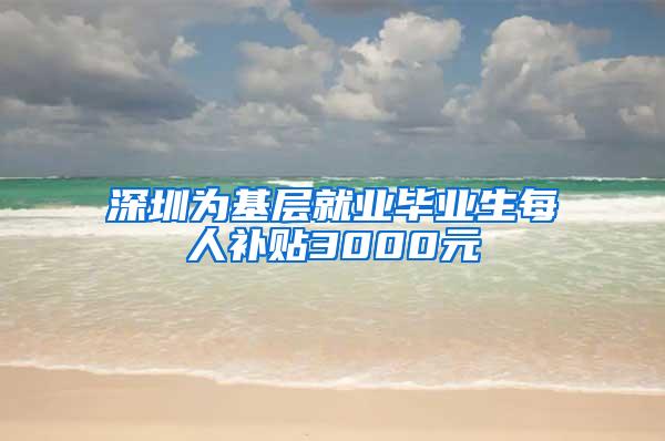 深圳为基层就业毕业生每人补贴3000元