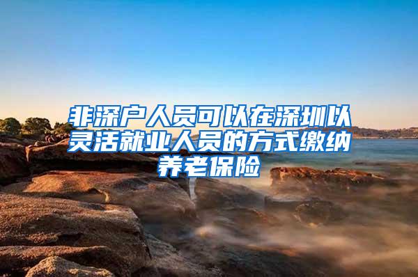 非深户人员可以在深圳以灵活就业人员的方式缴纳养老保险