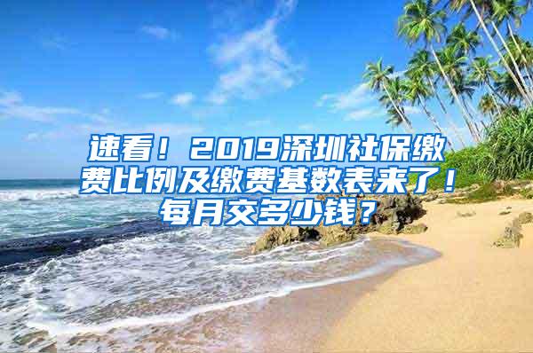 速看！2019深圳社保缴费比例及缴费基数表来了！每月交多少钱？