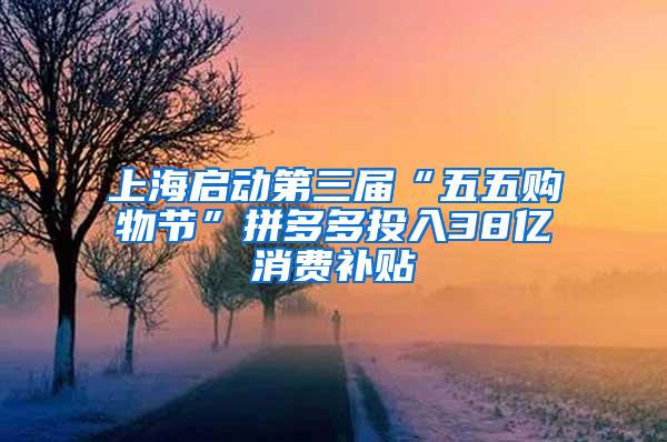 上海启动第三届“五五购物节”拼多多投入38亿消费补贴
