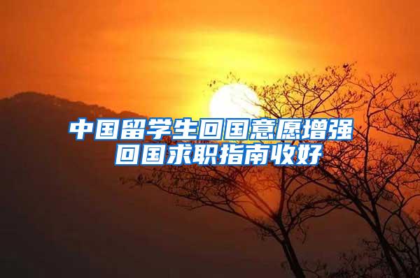 中国留学生回国意愿增强 回国求职指南收好