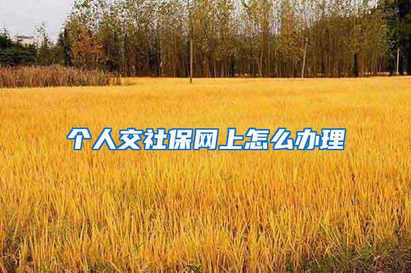 个人交社保网上怎么办理