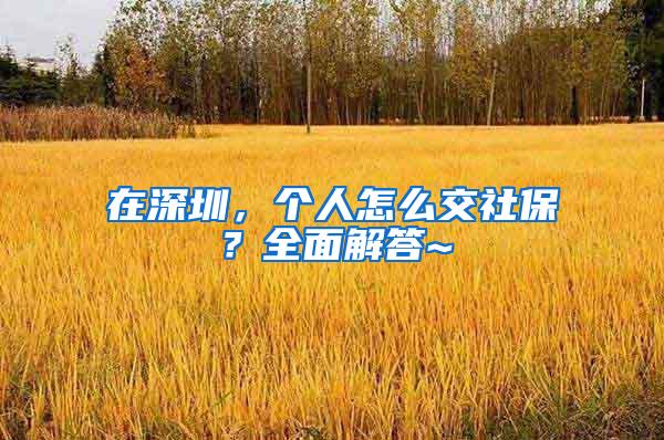 在深圳，个人怎么交社保？全面解答~