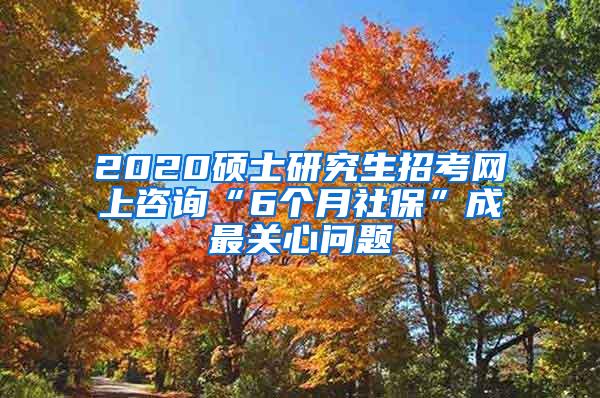 2020硕士研究生招考网上咨询“6个月社保”成最关心问题