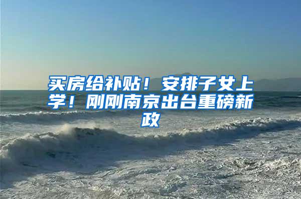 买房给补贴！安排子女上学！刚刚南京出台重磅新政