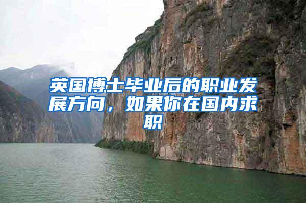 英国博士毕业后的职业发展方向，如果你在国内求职