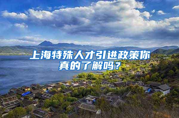 上海特殊人才引进政策你真的了解吗？