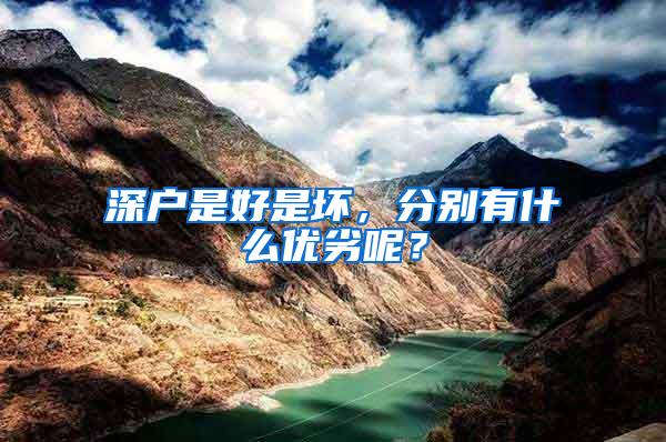 深户是好是坏，分别有什么优劣呢？