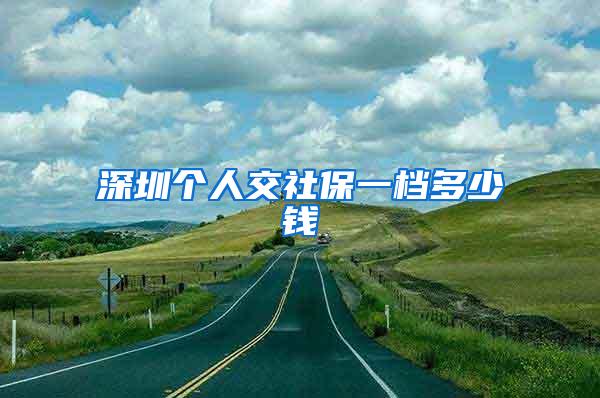 深圳个人交社保一档多少钱