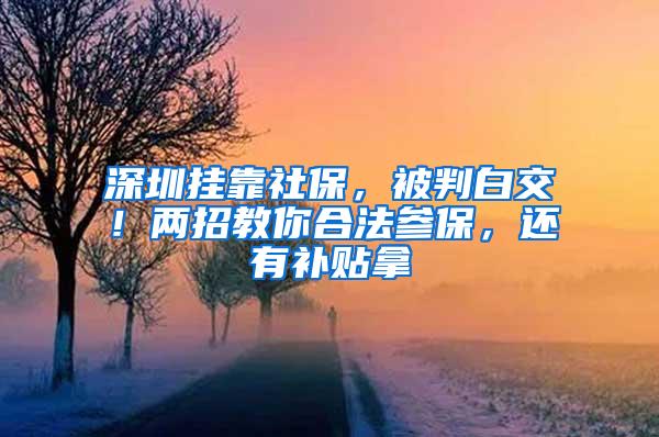 深圳挂靠社保，被判白交！两招教你合法参保，还有补贴拿