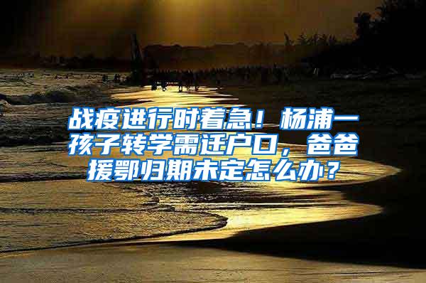 战疫进行时着急！杨浦一孩子转学需迁户口，爸爸援鄂归期未定怎么办？