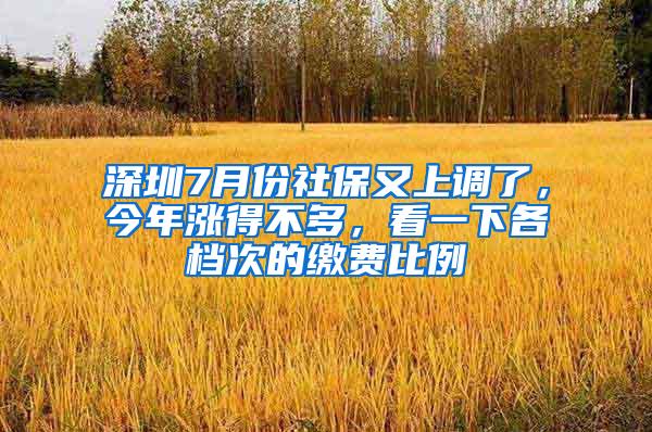深圳7月份社保又上调了，今年涨得不多，看一下各档次的缴费比例