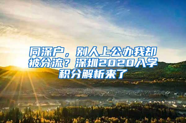 同深户，别人上公办我却被分流？深圳2020入学积分解析来了