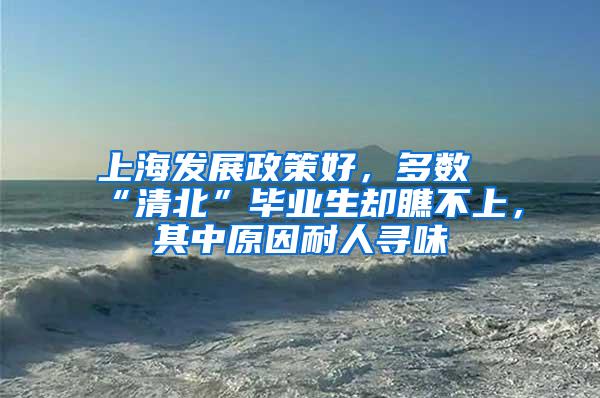 上海发展政策好，多数“清北”毕业生却瞧不上，其中原因耐人寻味