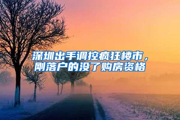 深圳出手调控疯狂楼市，刚落户的没了购房资格