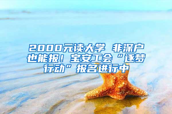 2000元读大学 非深户也能报！宝安工会“逐梦行动”报名进行中