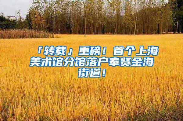「转载」重磅！首个上海美术馆分馆落户奉贤金海街道！