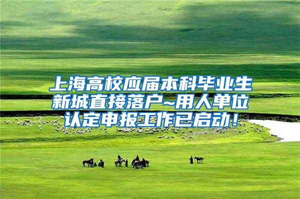 上海高校应届本科毕业生新城直接落户~用人单位认定申报工作已启动！