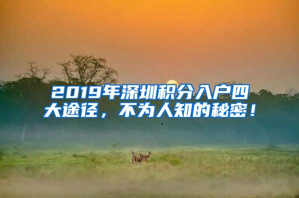 2019年深圳积分入户四大途径，不为人知的秘密！