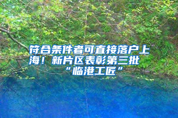 符合条件者可直接落户上海！新片区表彰第三批“临港工匠”