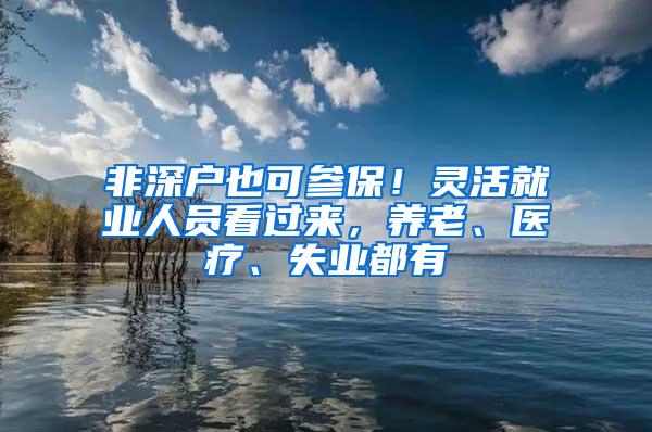 非深户也可参保！灵活就业人员看过来，养老、医疗、失业都有