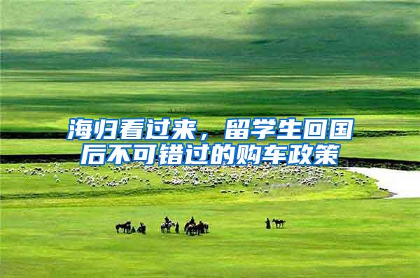 海归看过来，留学生回国后不可错过的购车政策