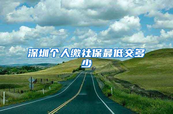 深圳个人缴社保最低交多少