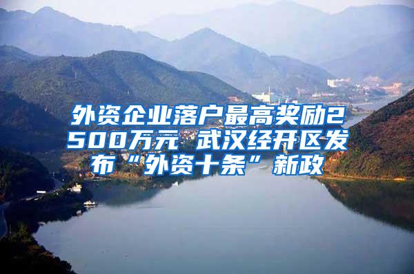 外资企业落户最高奖励2500万元 武汉经开区发布“外资十条”新政