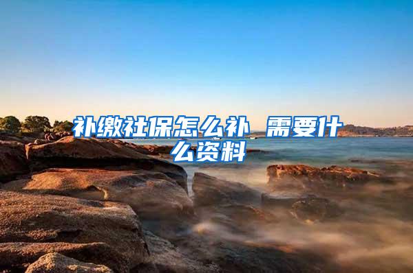补缴社保怎么补 需要什么资料