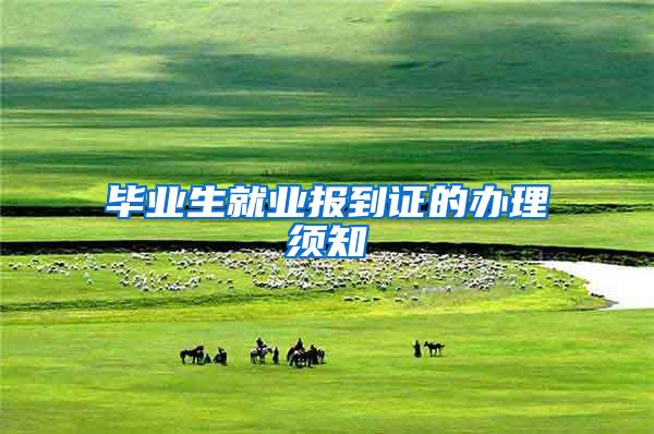 毕业生就业报到证的办理须知