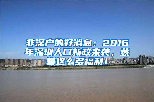 非深户的好消息：2016年深圳人口新政来袭，藏着这么多福利！