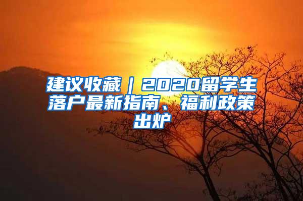 建议收藏｜2020留学生落户最新指南、福利政策出炉