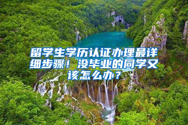 留学生学历认证办理最详细步骤！没毕业的同学又该怎么办？